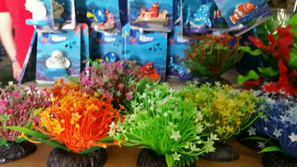 405 Tropical Fish, business photo 2