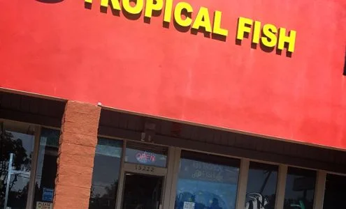 405 Tropical Fish business photo