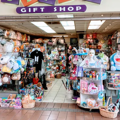 Oppa's Gift Shop, business photo 2