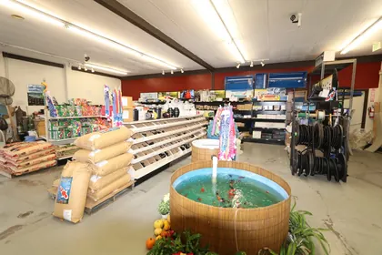 Yume Koi and Water Gardens, business photo 4
